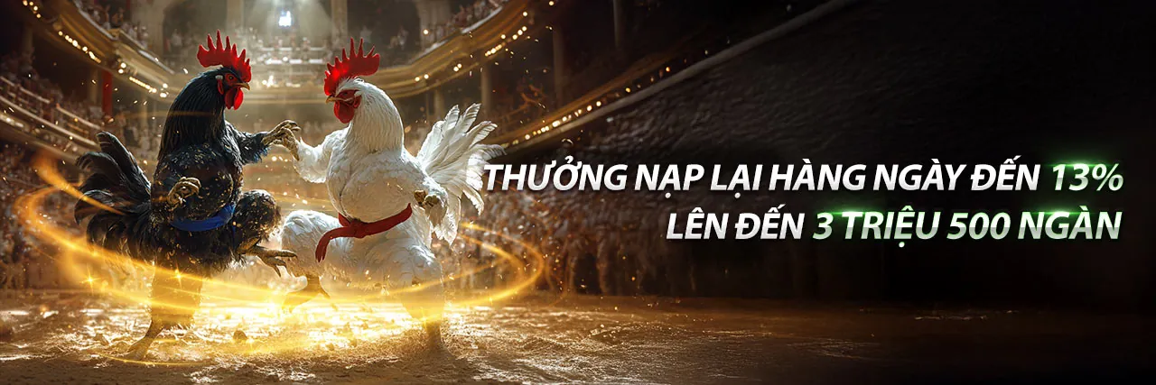Sân đấu gà truyền thống sôi động tại Việt Nam