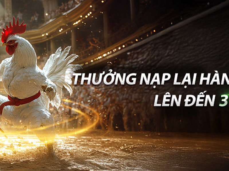 Ưu đãi hoàn trả hàng ngày win365