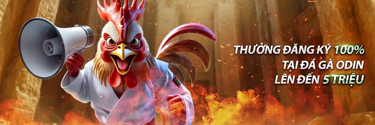 Tính năng lịch sử giao dịch và hoạt động của Win365